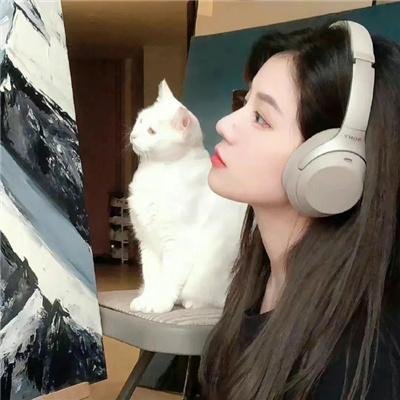 纽约灾星第一季